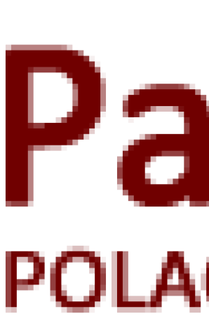 [VIDEO] 10 tysięcy złotych zebrano na leczenie chorego na raka Arka. Gwiazdami Balu Przebierańców w Słubicach byli Czadomen, Fischer i Krzysztof Rutkowski