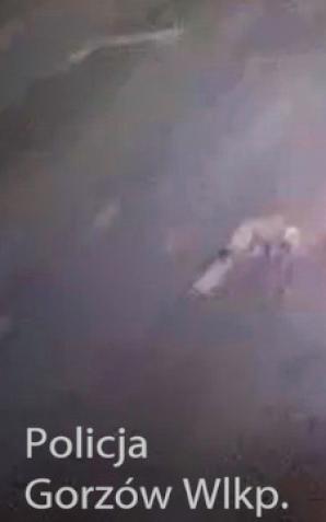 [VIDEO] Nie zatrzymał się do kontroli, rozbił auto w centrum miasta