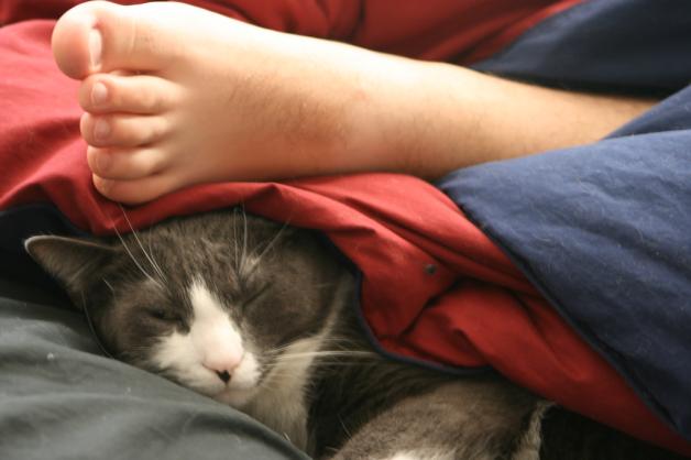 1/3 Polaków nie podejmuje żadnej aktywności fizycznej. Do uprawiania sportu chcą zmobilizować podwładnych pracodawcy